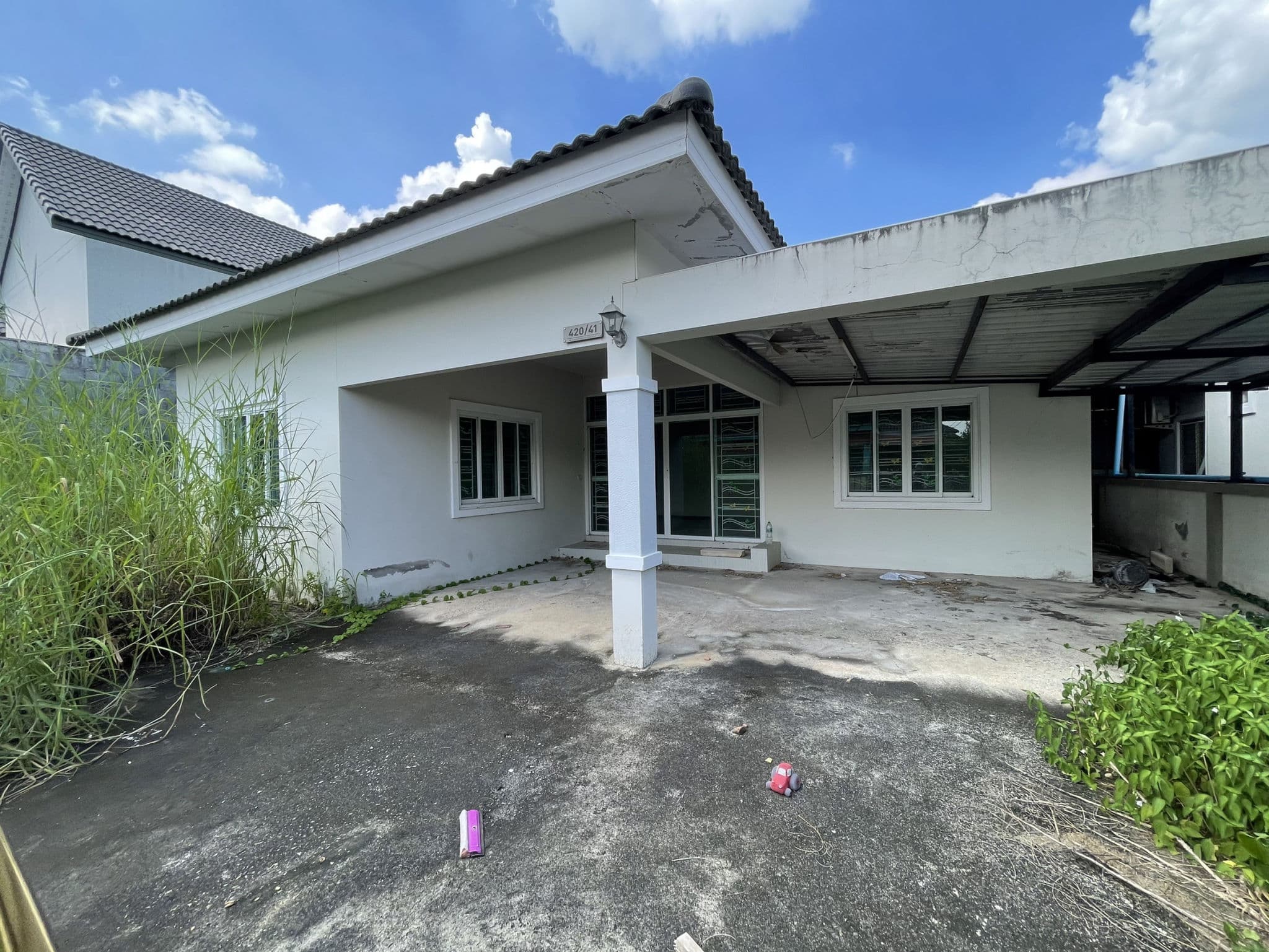 S__84369474.jpg