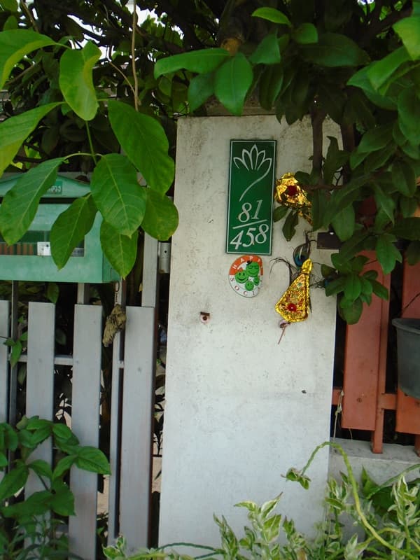 2+ DSC07513.JPG
