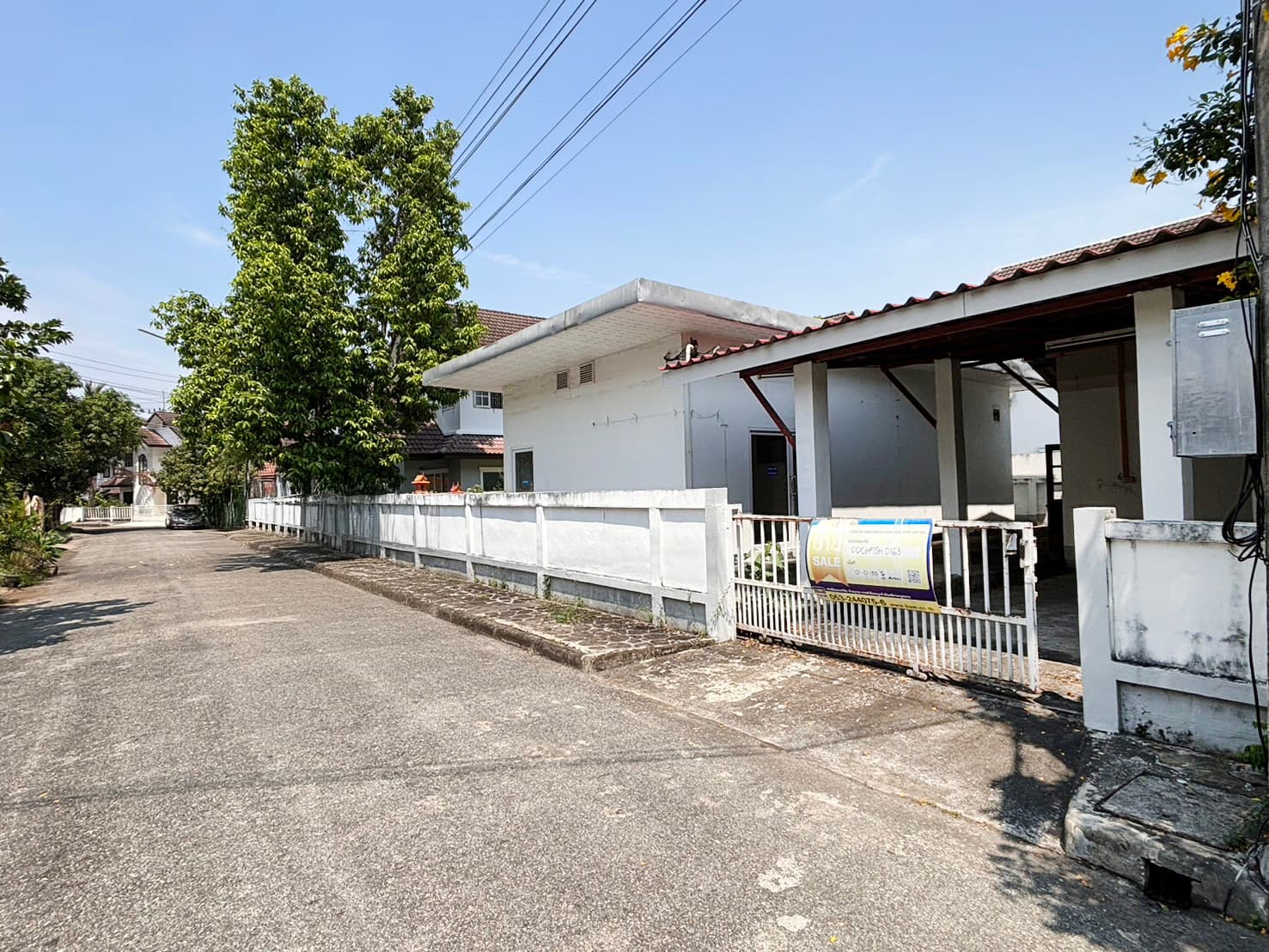 c55db0f2-66411-14.jpg