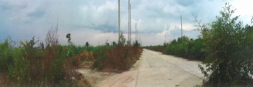 full_20200416084522.jpg
