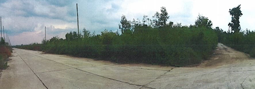 full_20200416084531.jpg