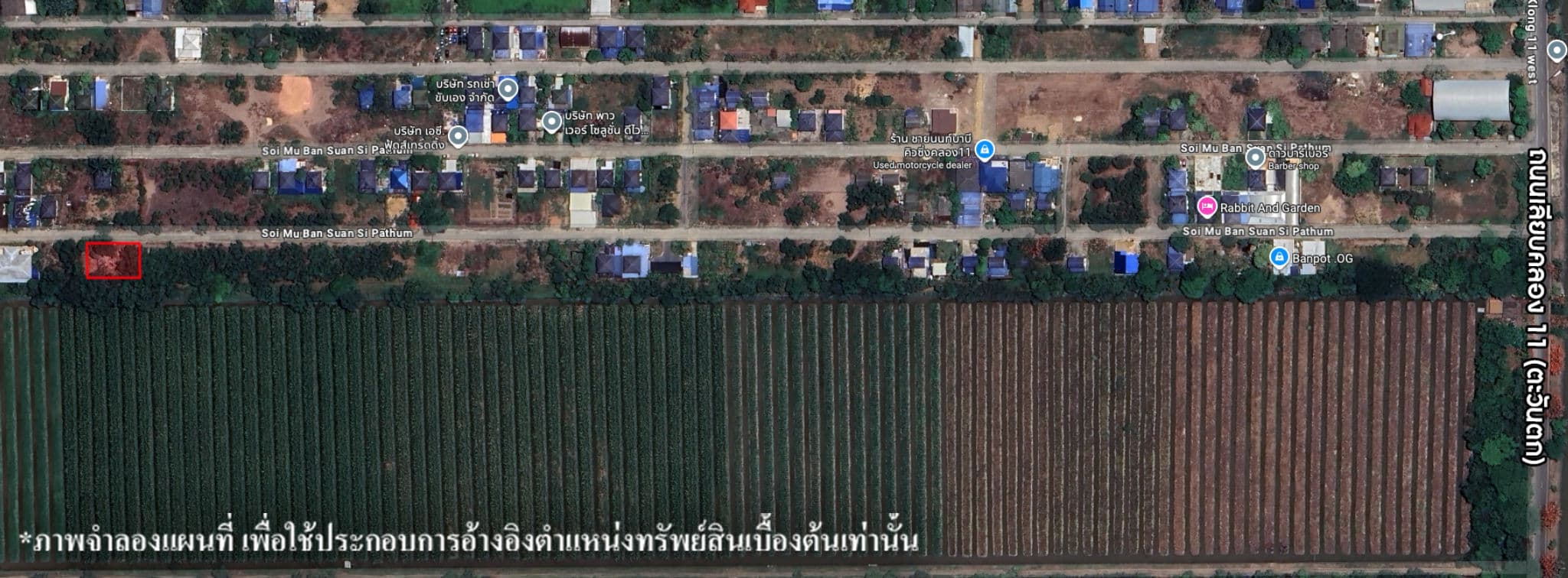 image (113).png