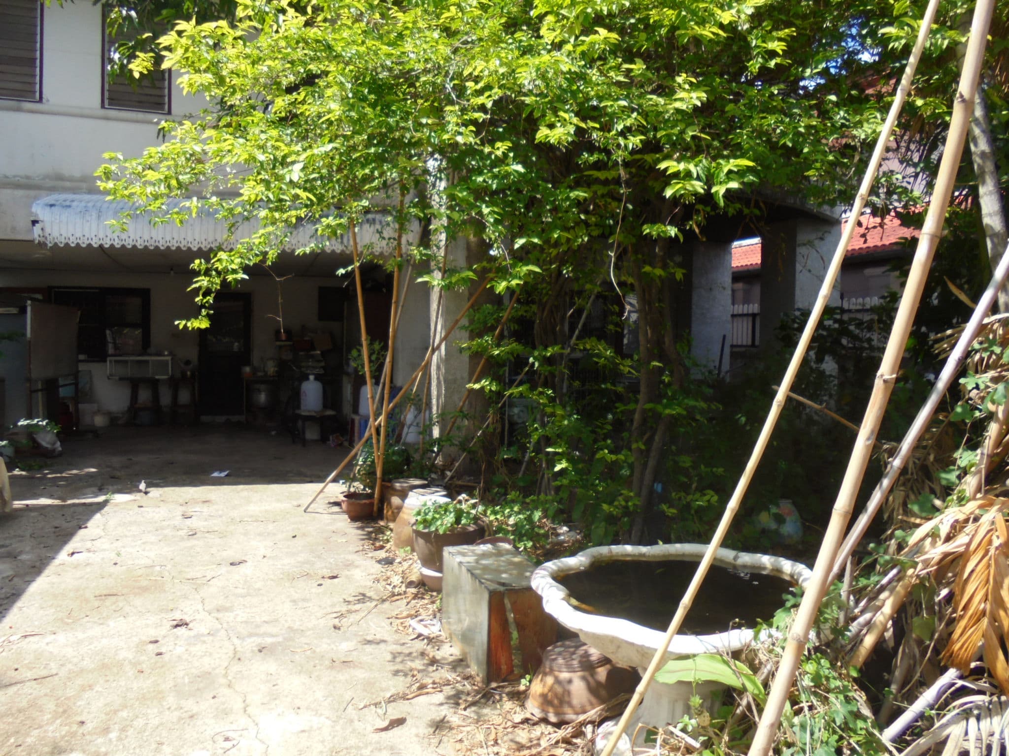 DSC09183.JPG