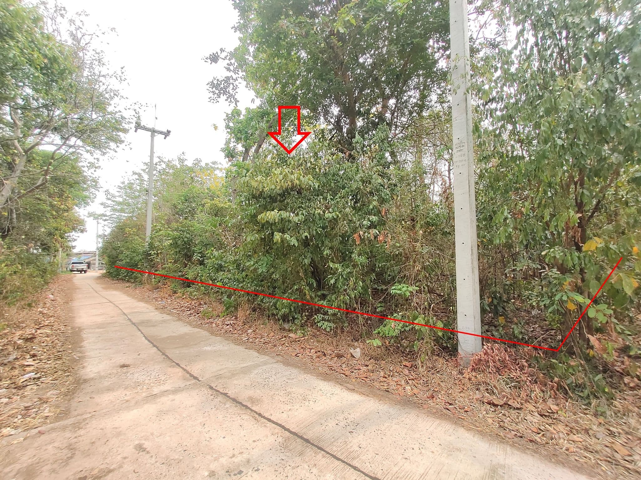 Picture11.jpg
