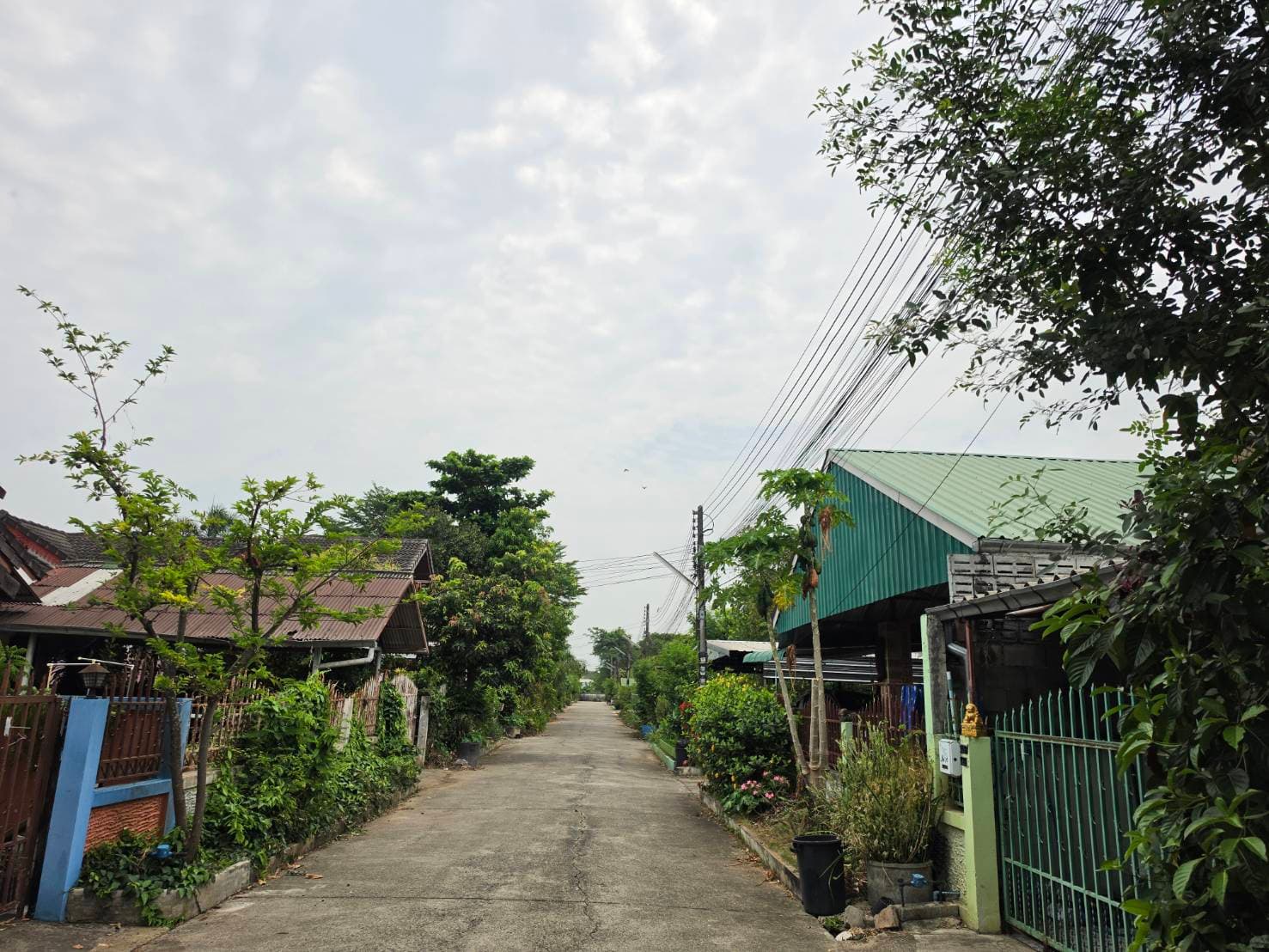 à¸à¸£à¸±à¸à¸¢à¹ à¸.102046 à¸à¸´à¸à¸±à¸¢ (13).jpg