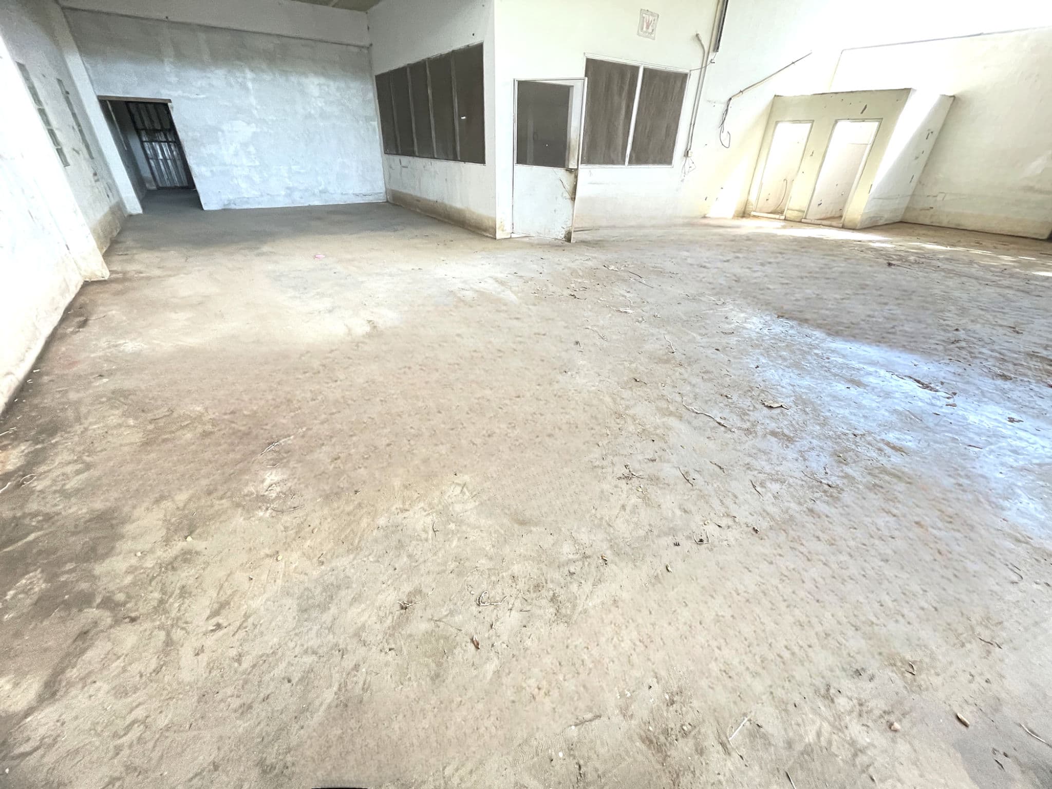 image - 2025-09-16T113844.059.png