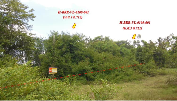 บุญเรือง.jpg
