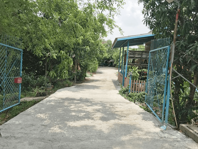 image (16).png
