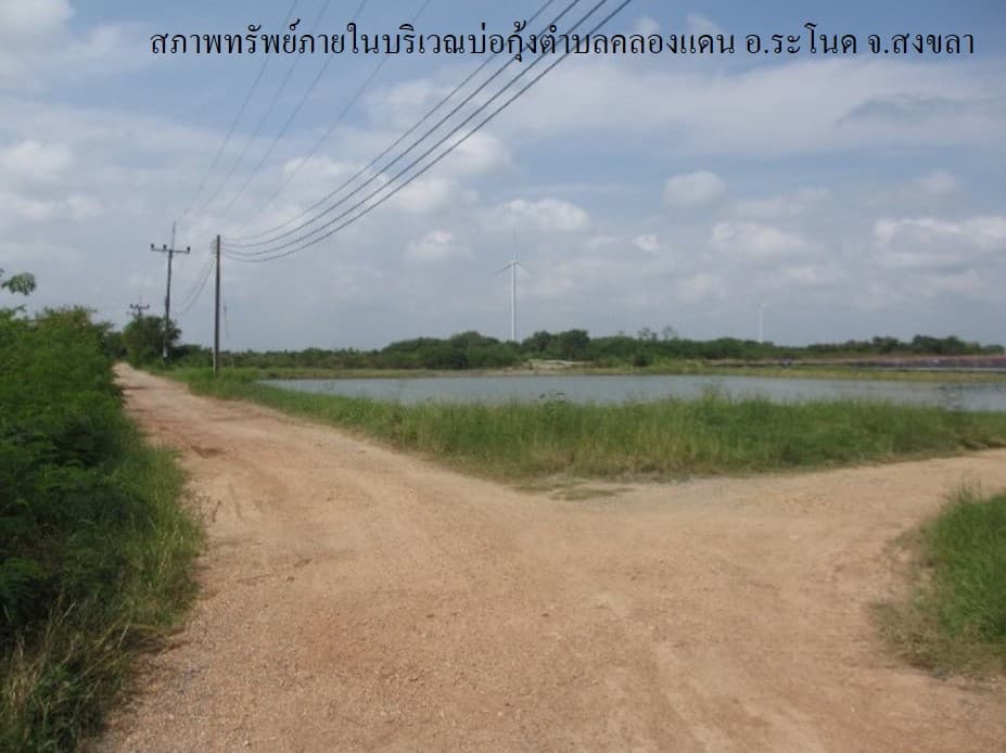 full_20200204092254.jpg