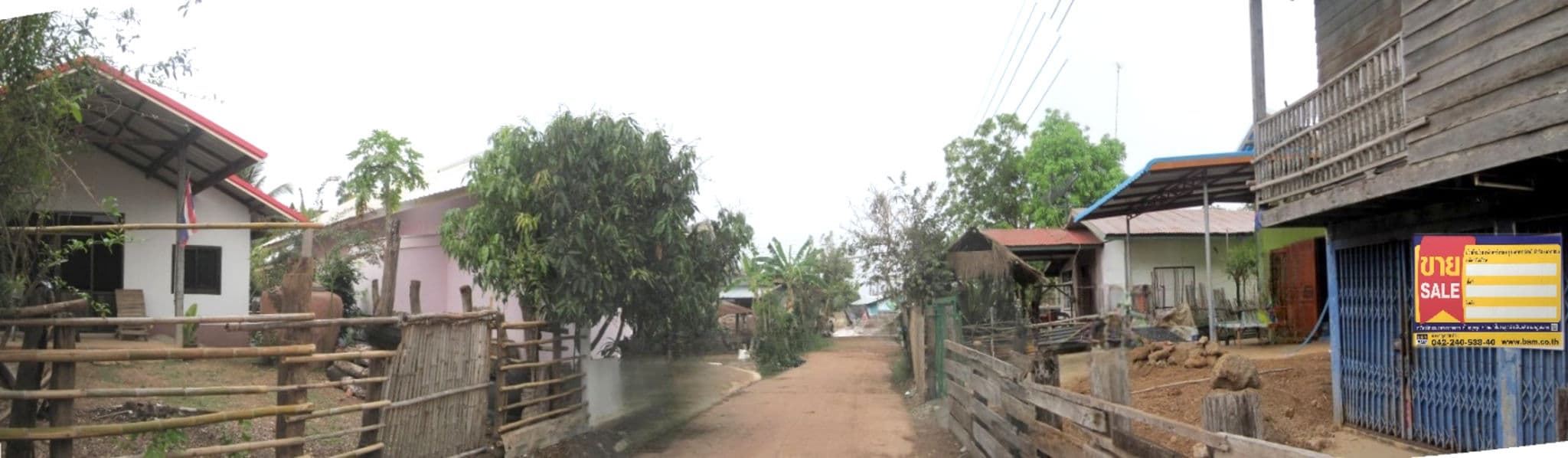 image (16).png