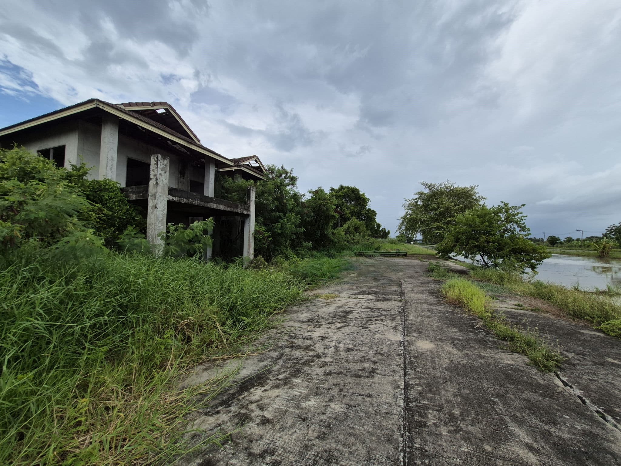1f1b60ef-50888-2.jpg