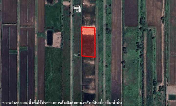 image (22).png