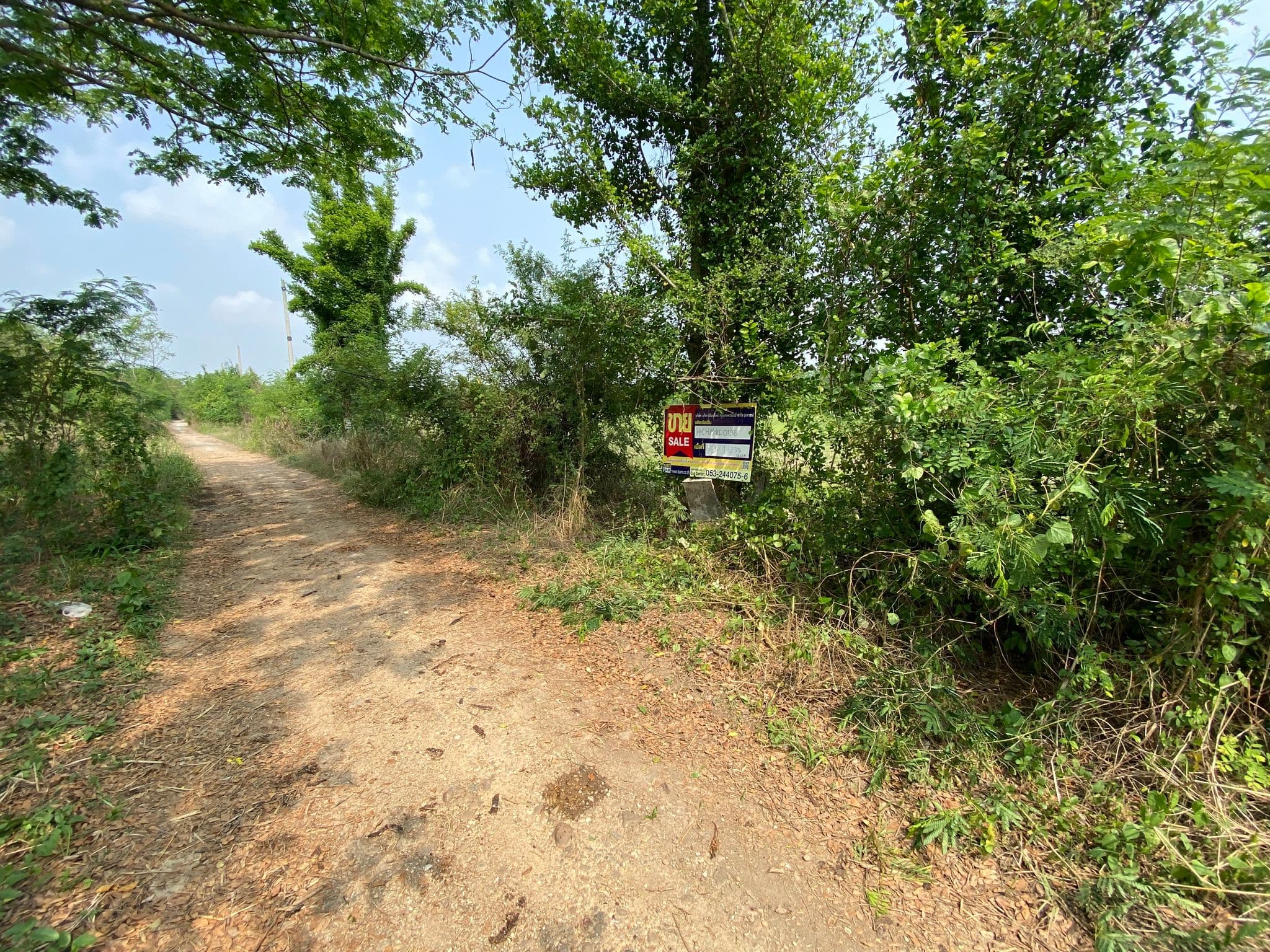 IMG_6580.JPG