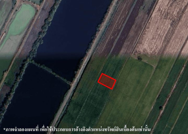 image (24).png