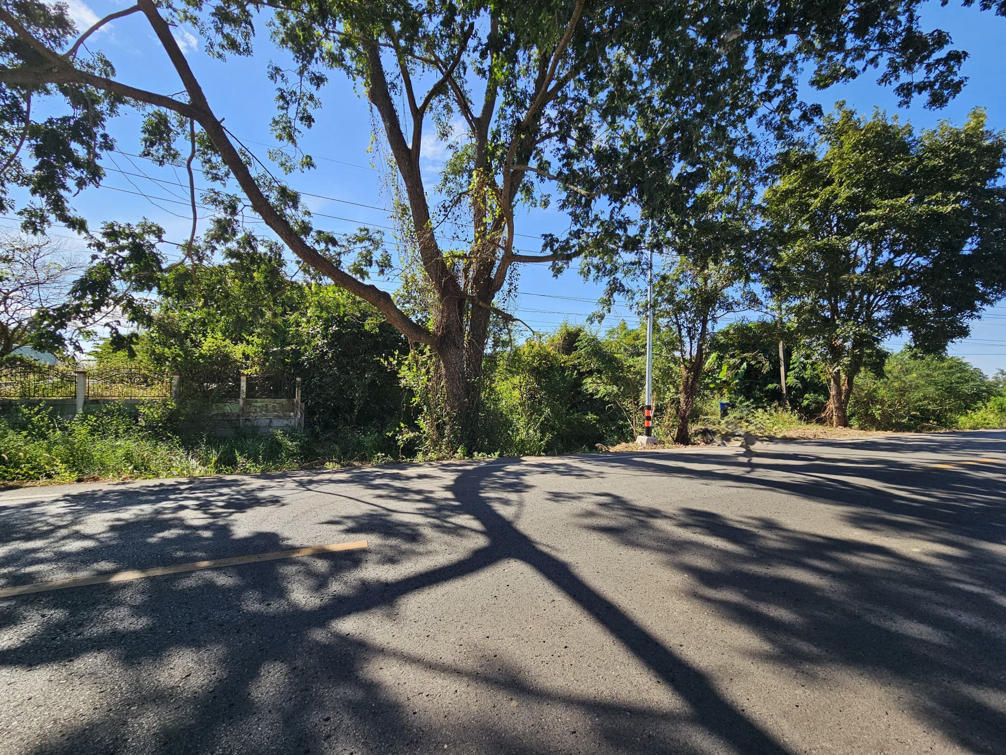 412c1e4d-148123-2.jpg