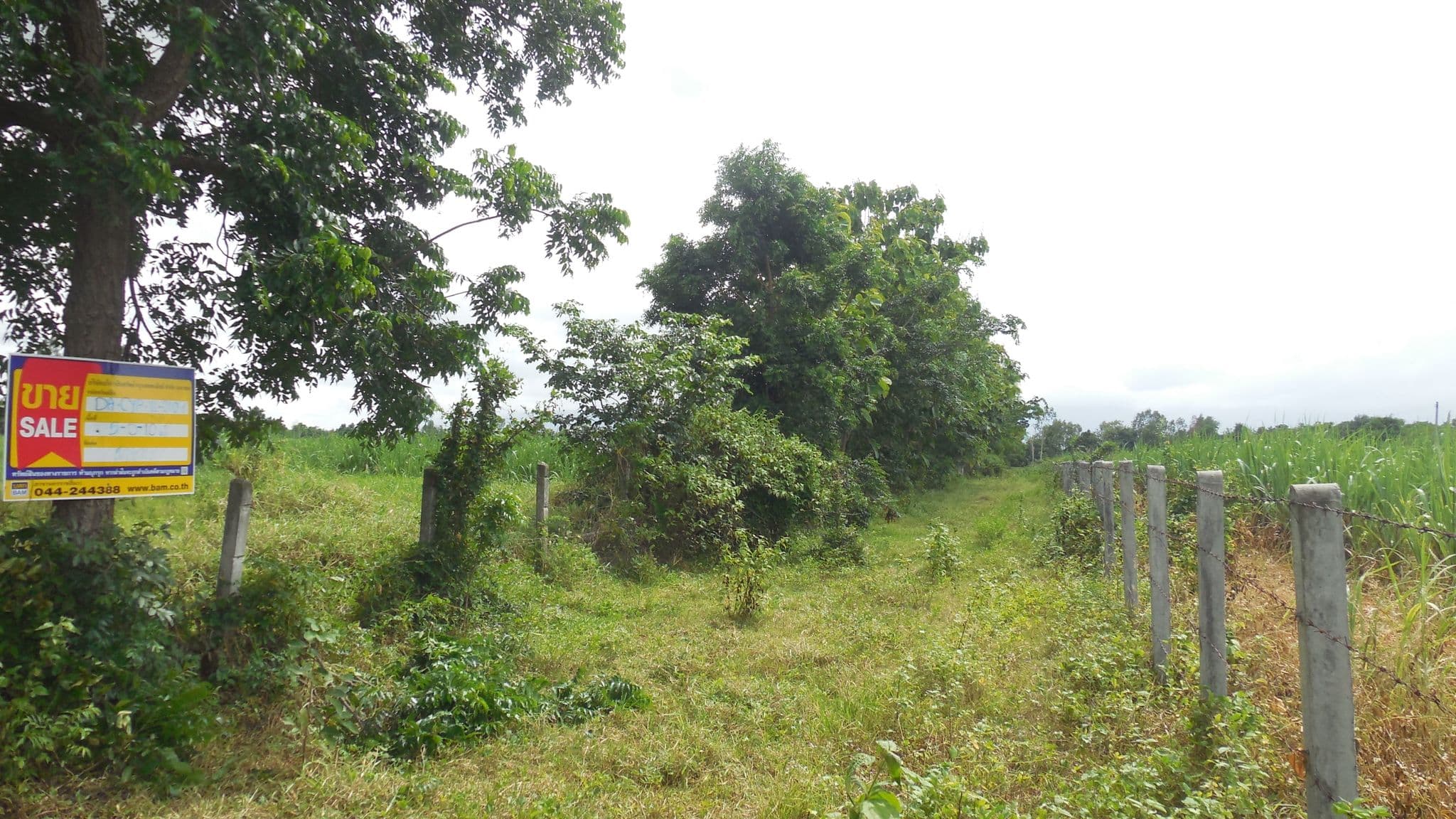 DSCN4323.JPG