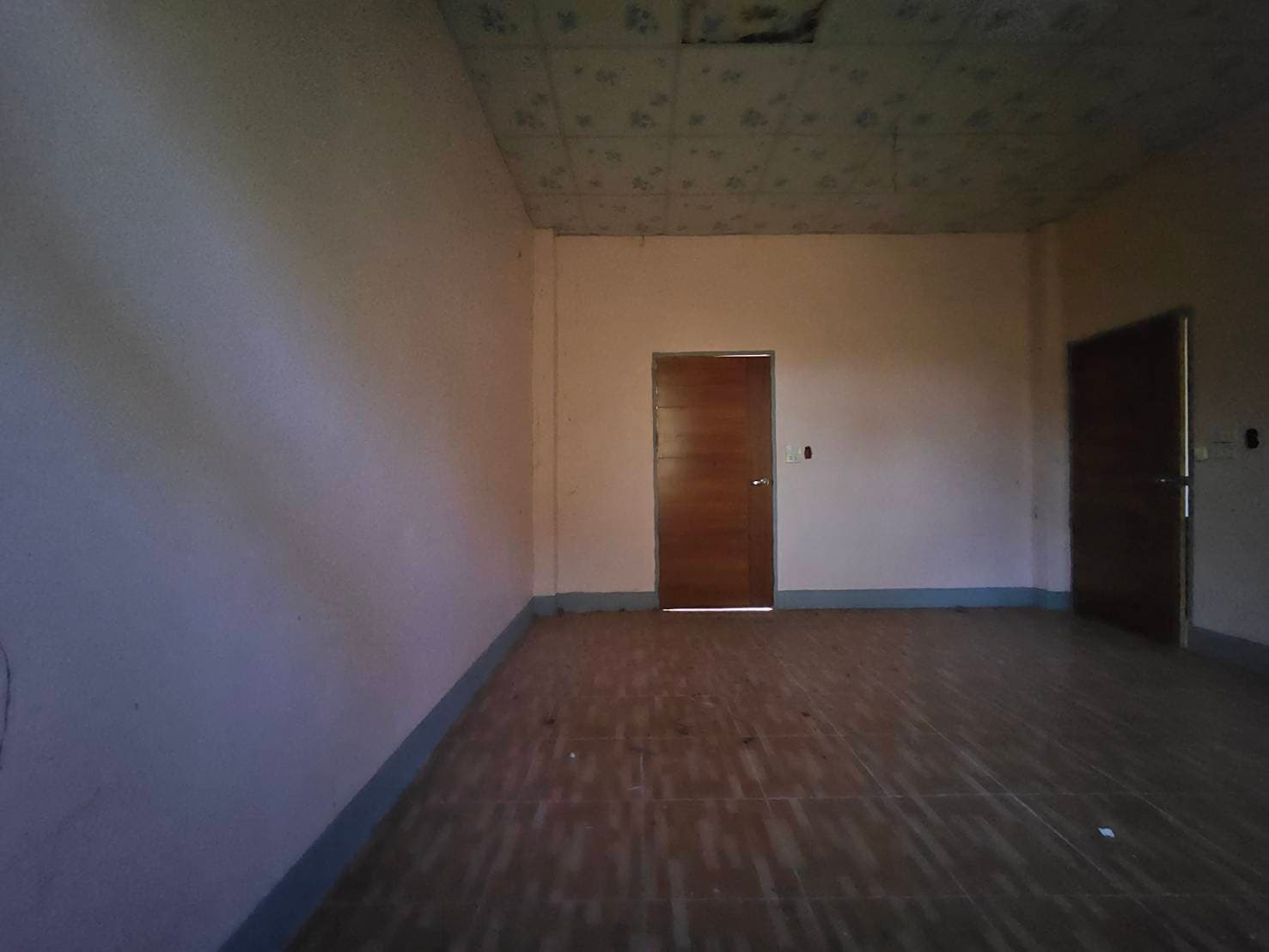 514309.jpg