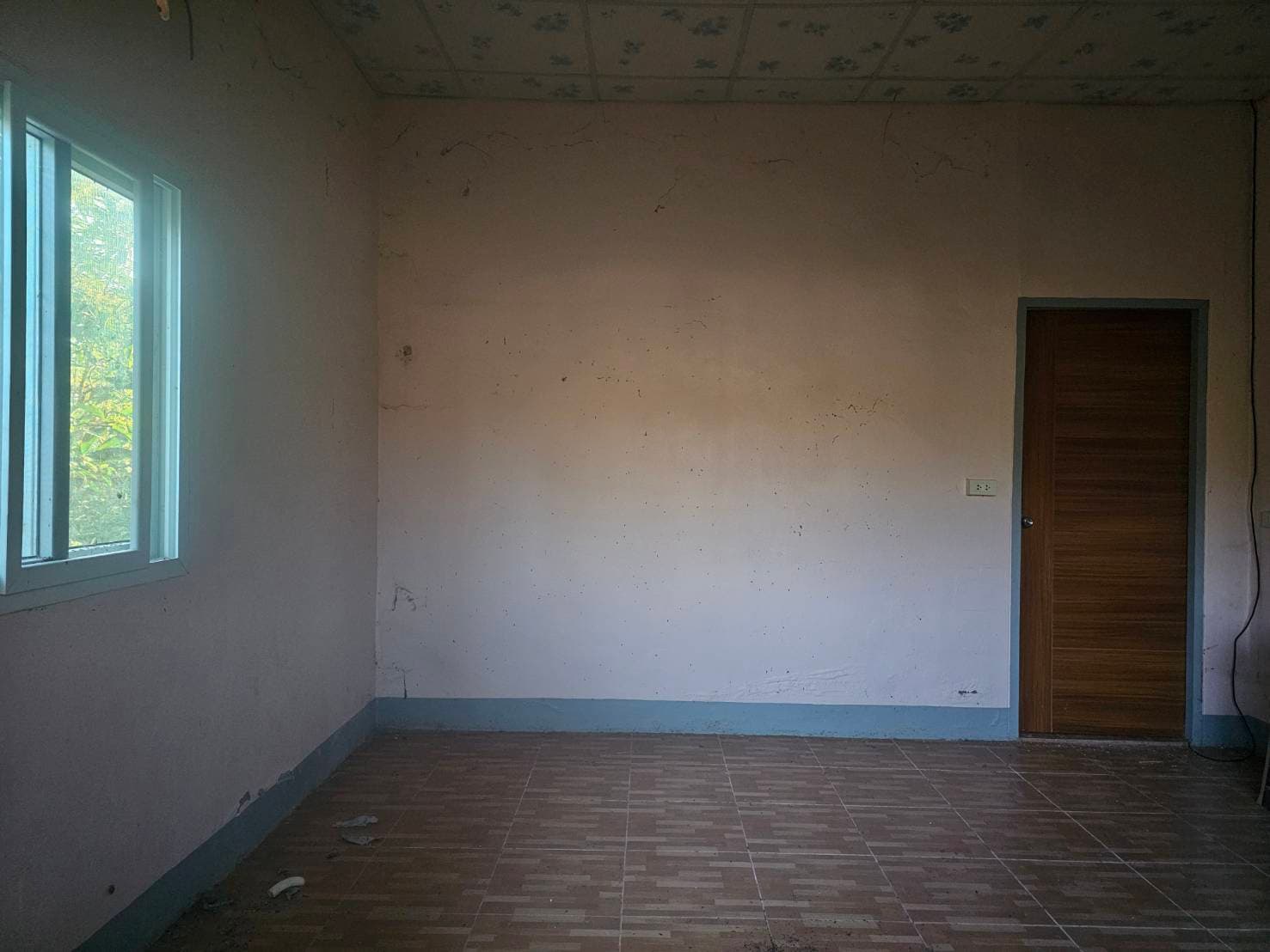 514313.jpg