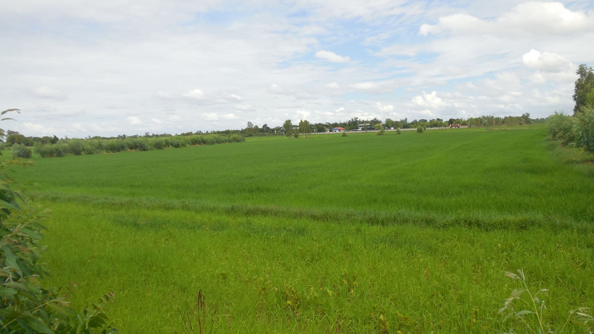 DSCN7814.JPG