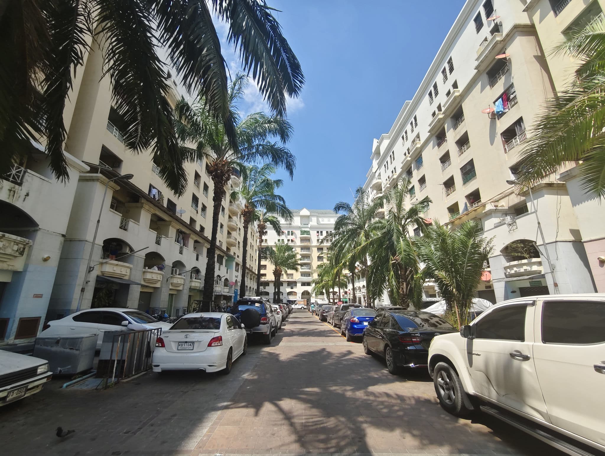 f4807c53-149856-0.jpg