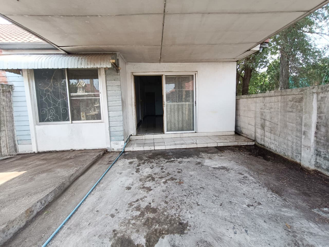 293a1545-BJTH6490.JPEG