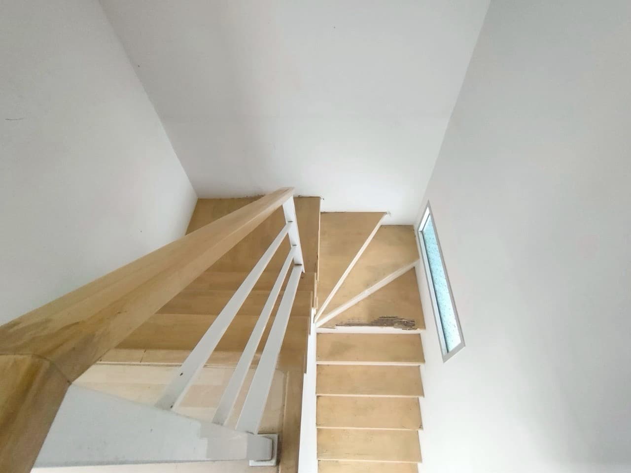 S__56008754.jpg
