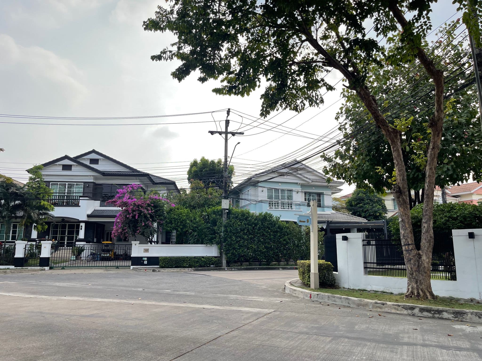 ฉ 16384 99-513 (1).jpg