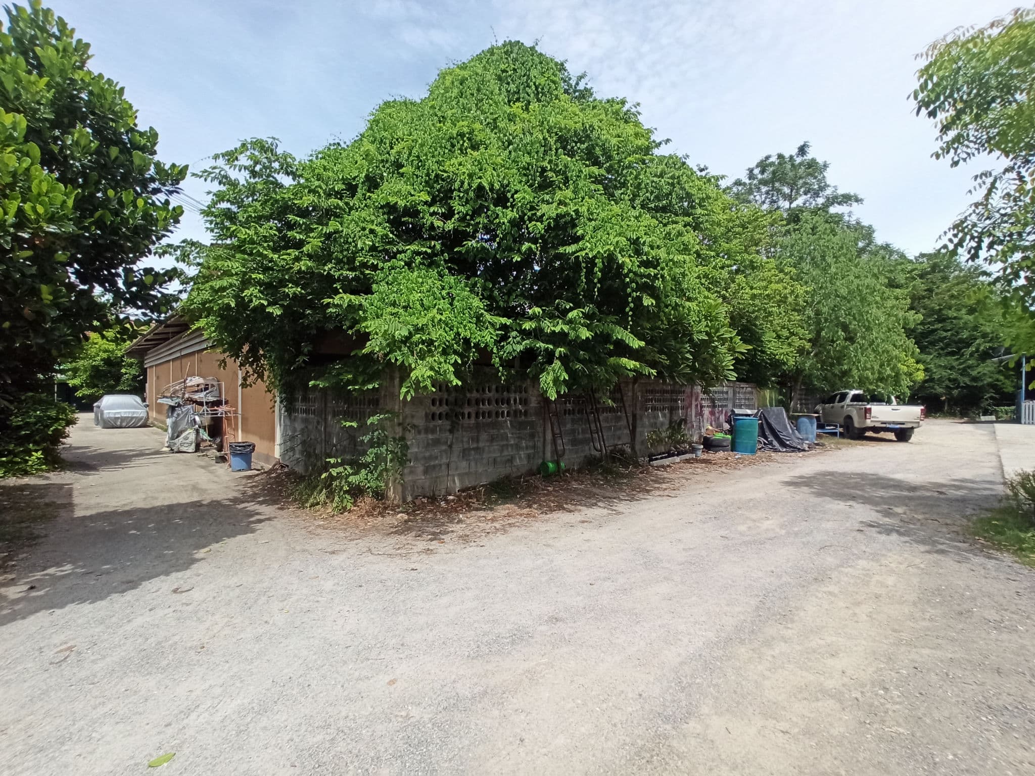 IMG_20240617_104151.jpg
