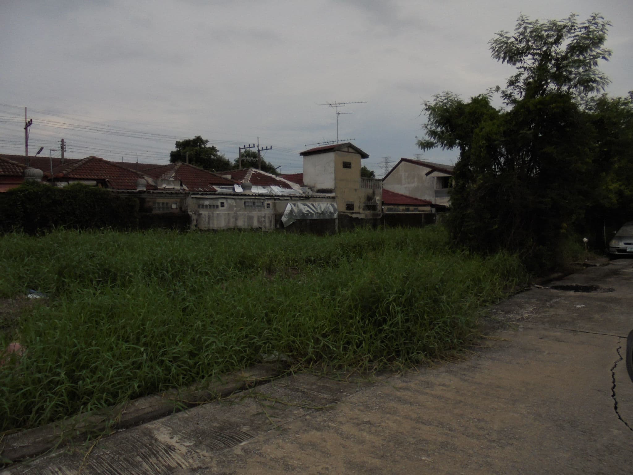 DSC04218.JPG