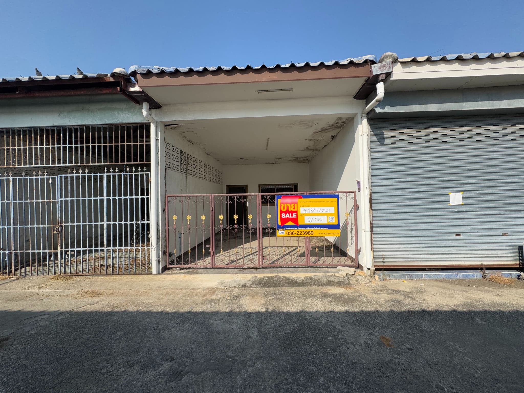 e29ed8b4-55854-4.jpg