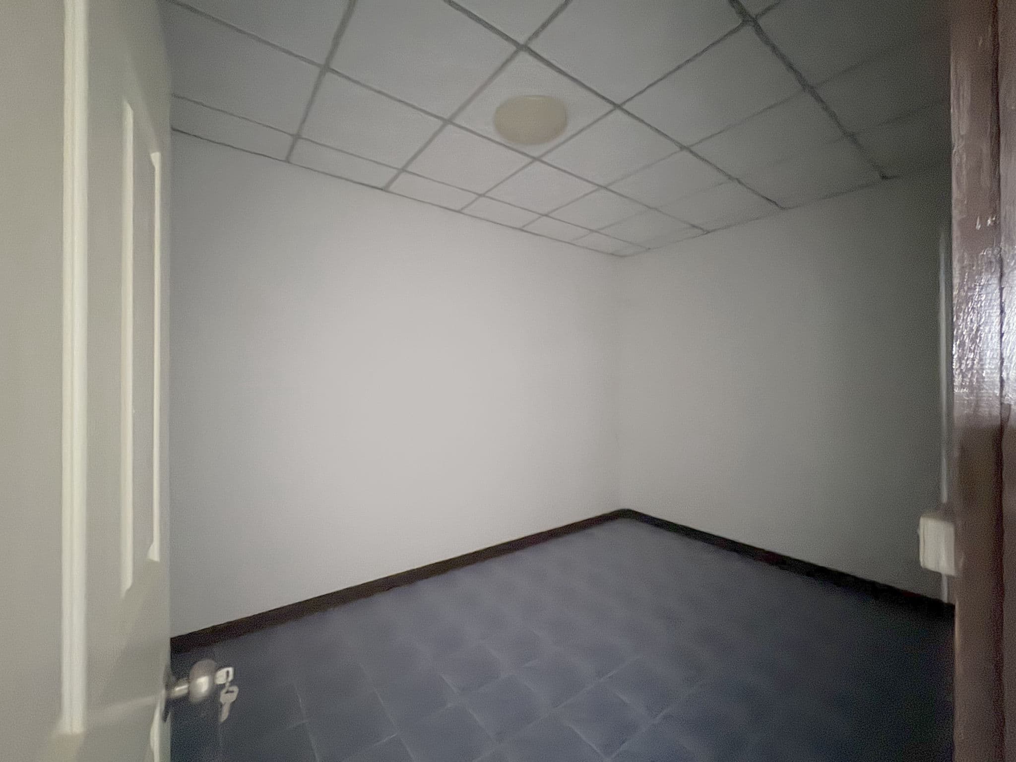 e29ed8b4-55854-2.jpg