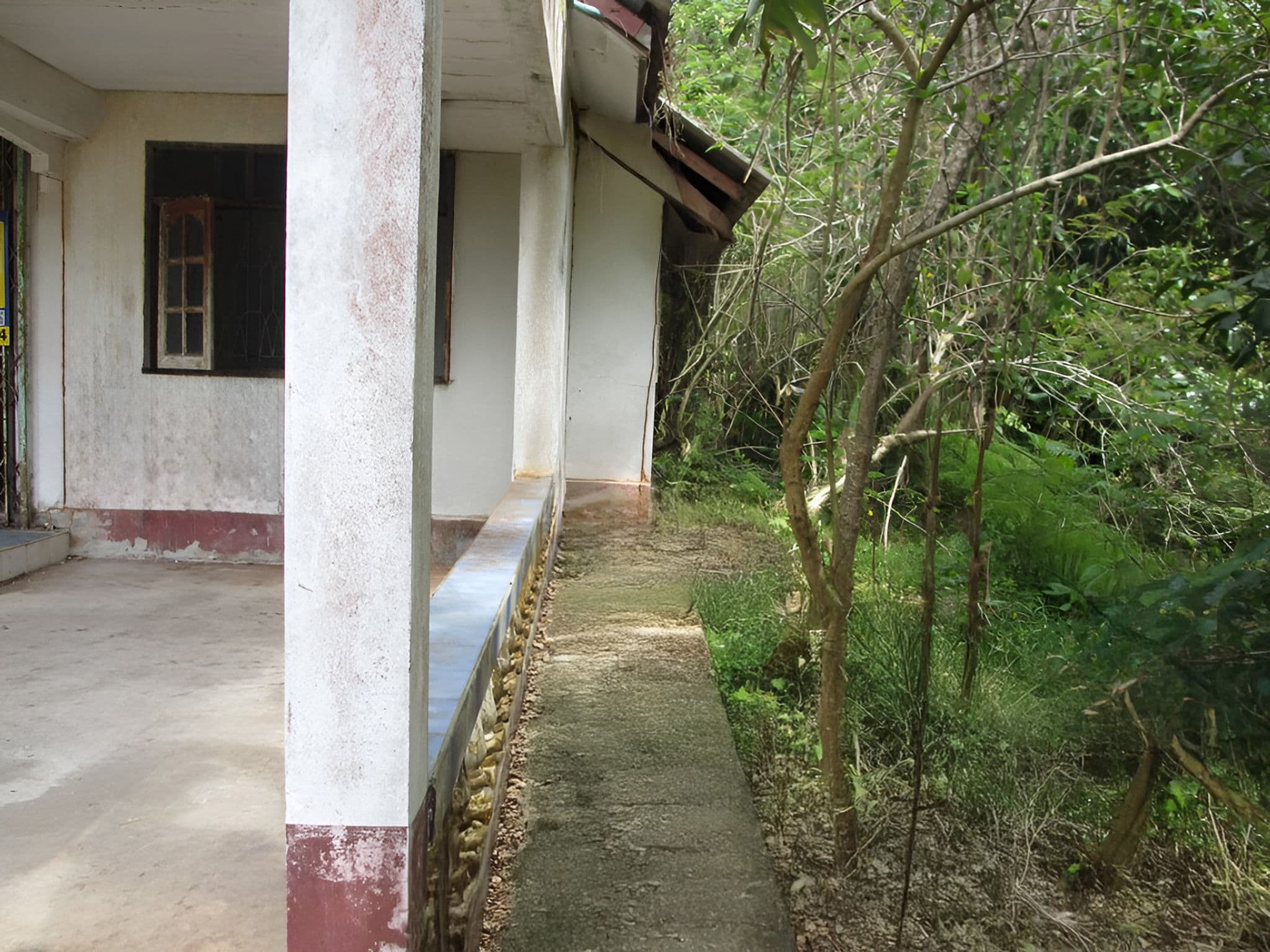 full_20190807150208.jpg