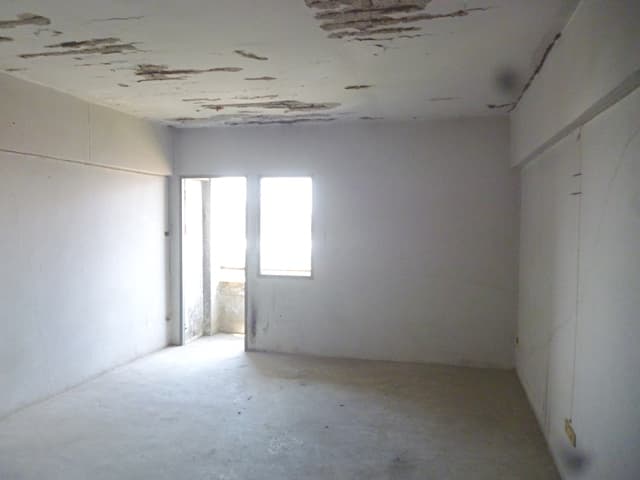 full_20200412202125.jpg