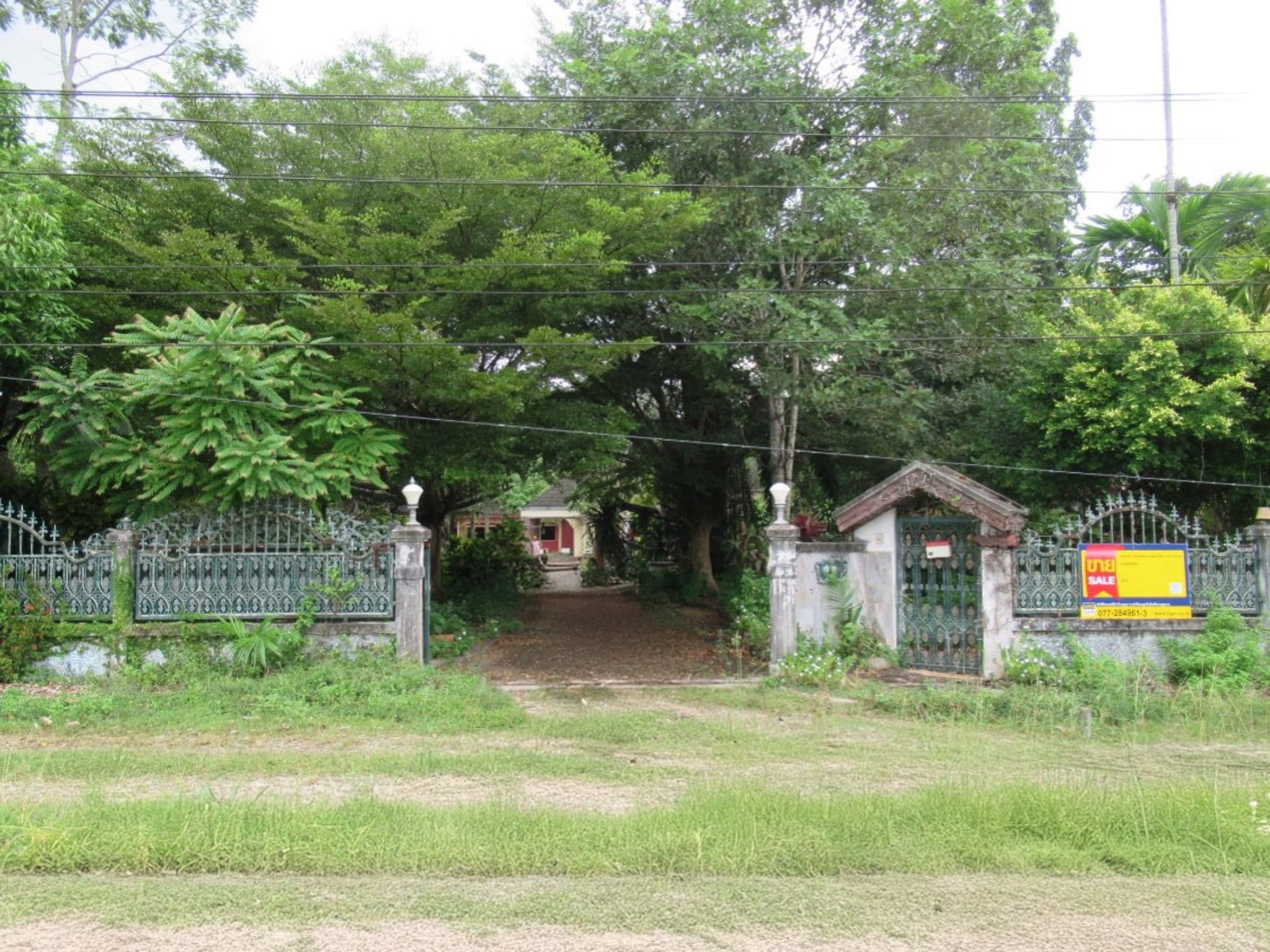 d203c353-α╕úα╕╣α╕¢α╕áα╕▓α╕₧4.jpg