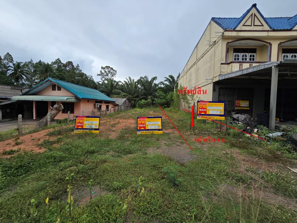 สไลด์2.JPG