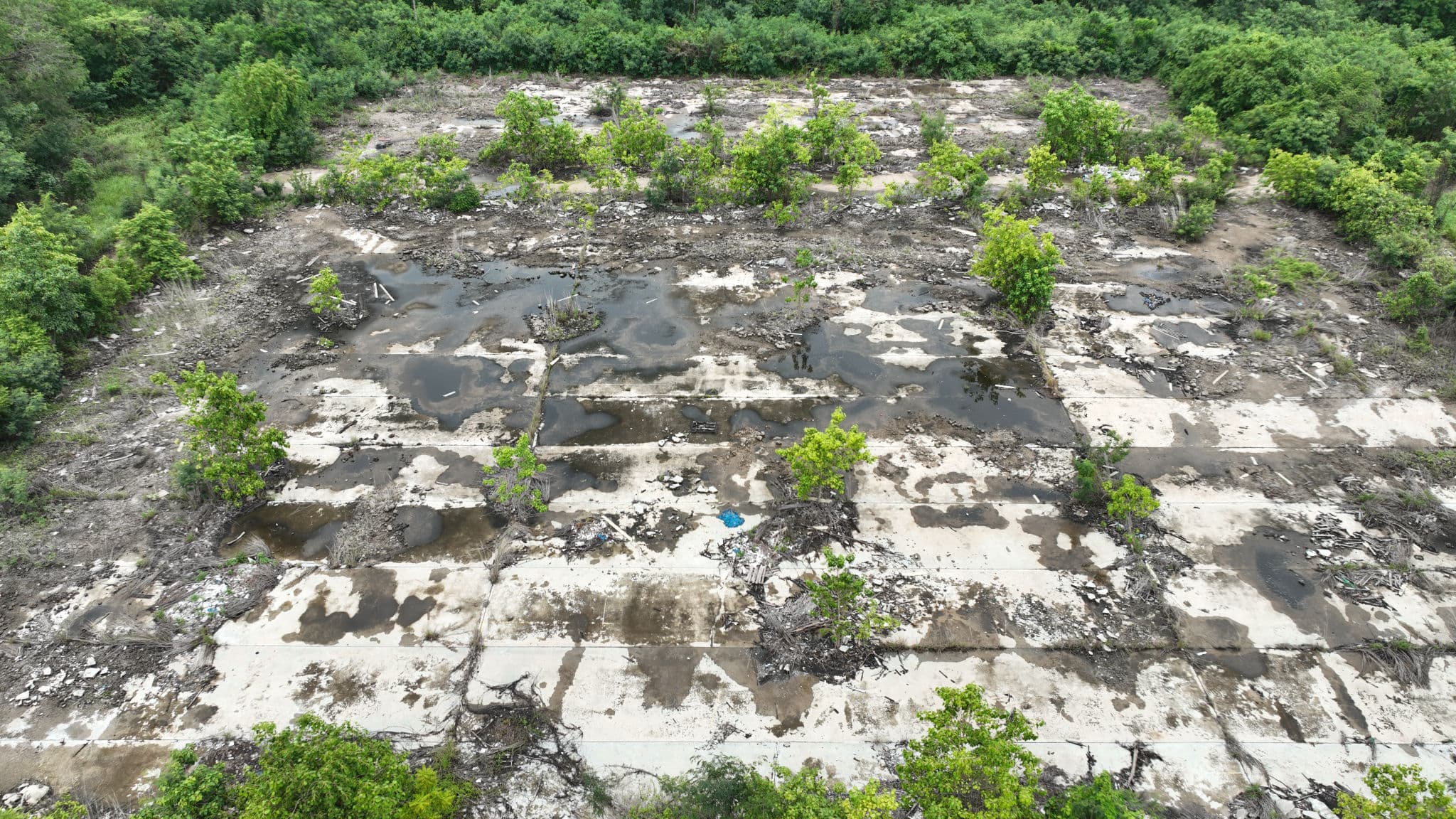 DJI_0891.JPG