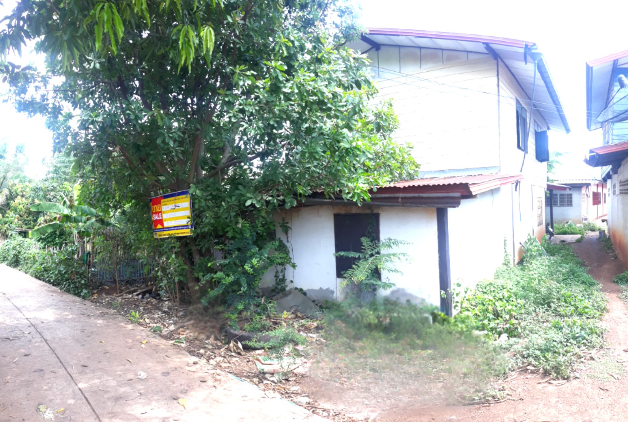 Canva Bamm (86).png