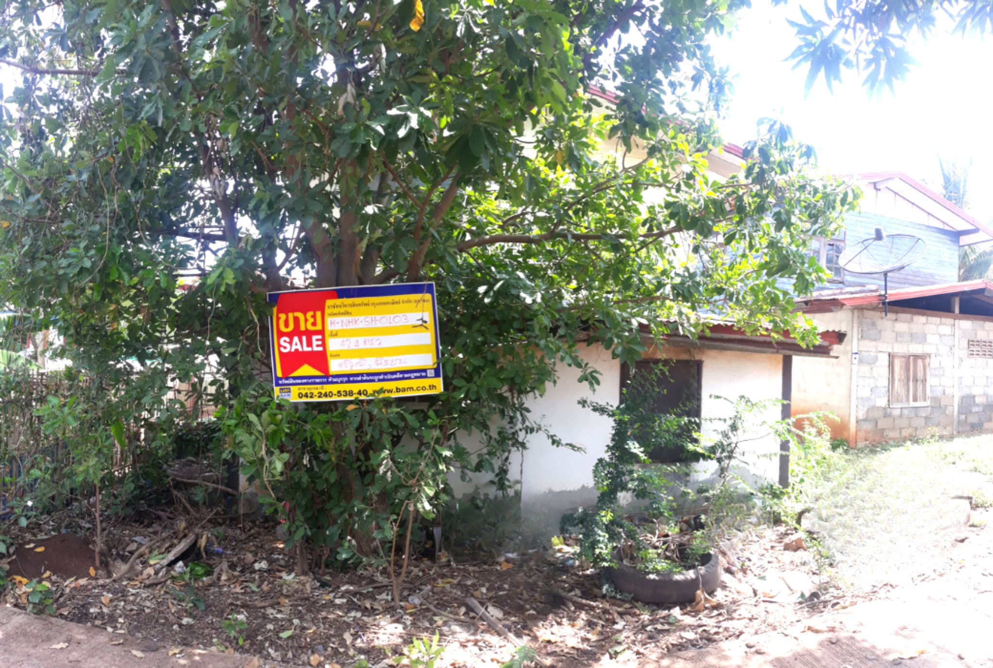 Canva Bamm (85).png