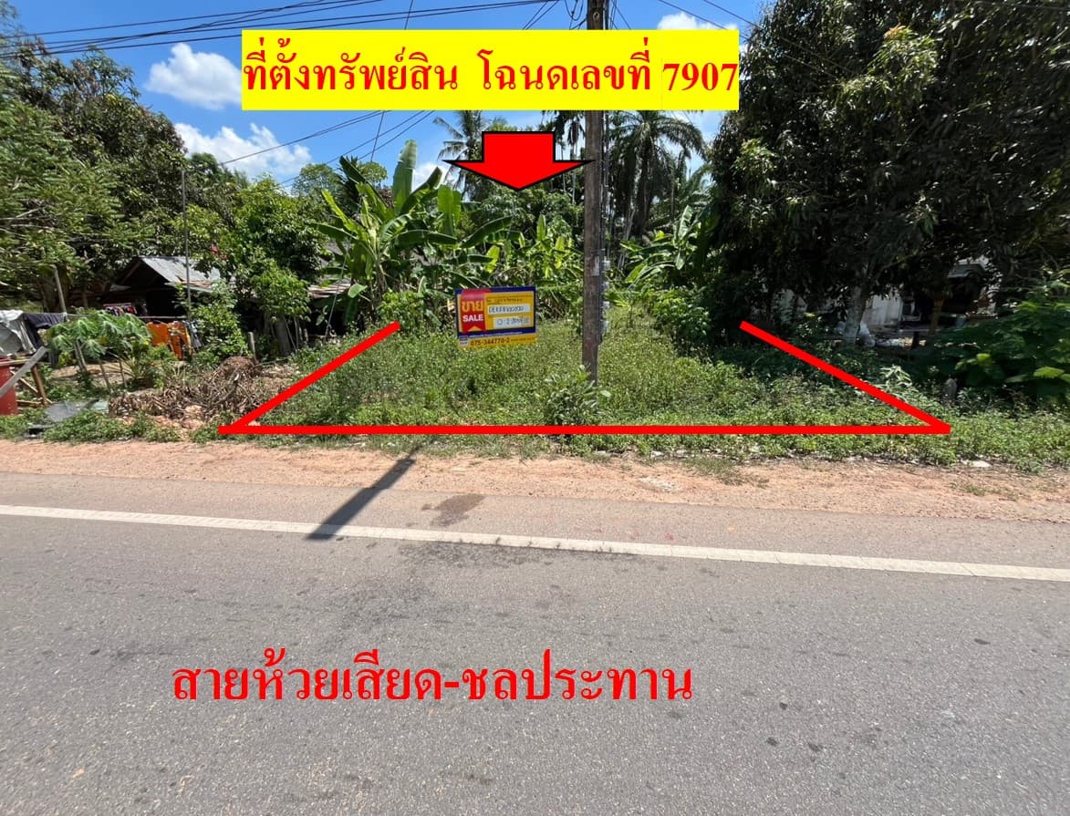 Picture3.jpg