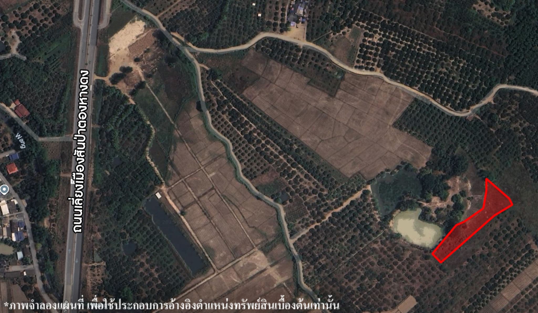 image (703).png