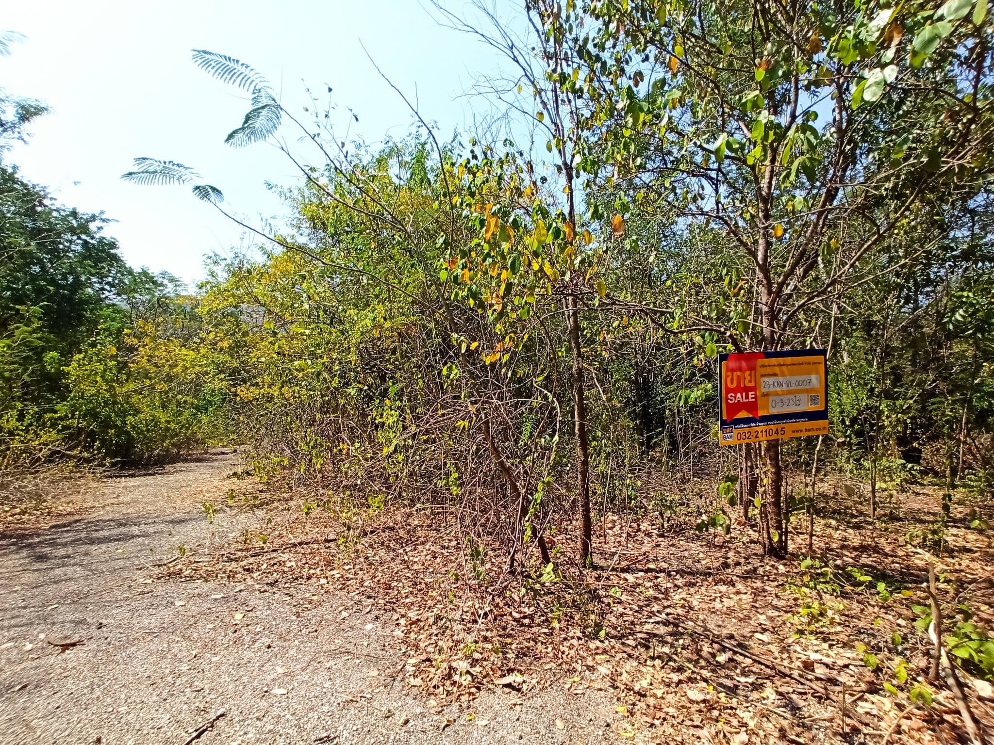 IMG_20240213_114822.jpg