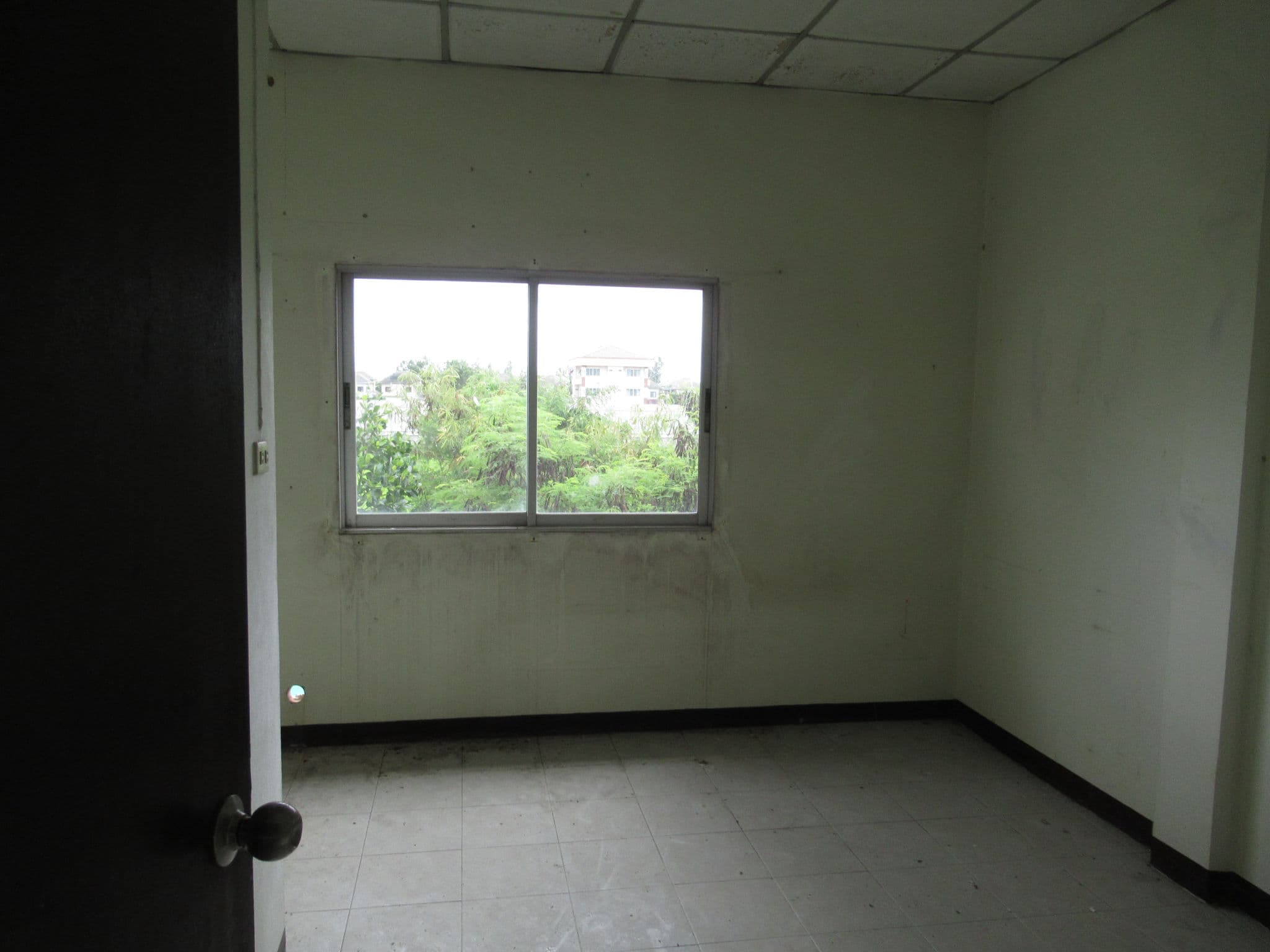 516674c9-IMG_5350.JPG