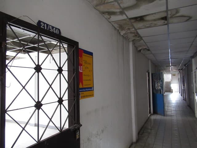 IMG_9942.JPG