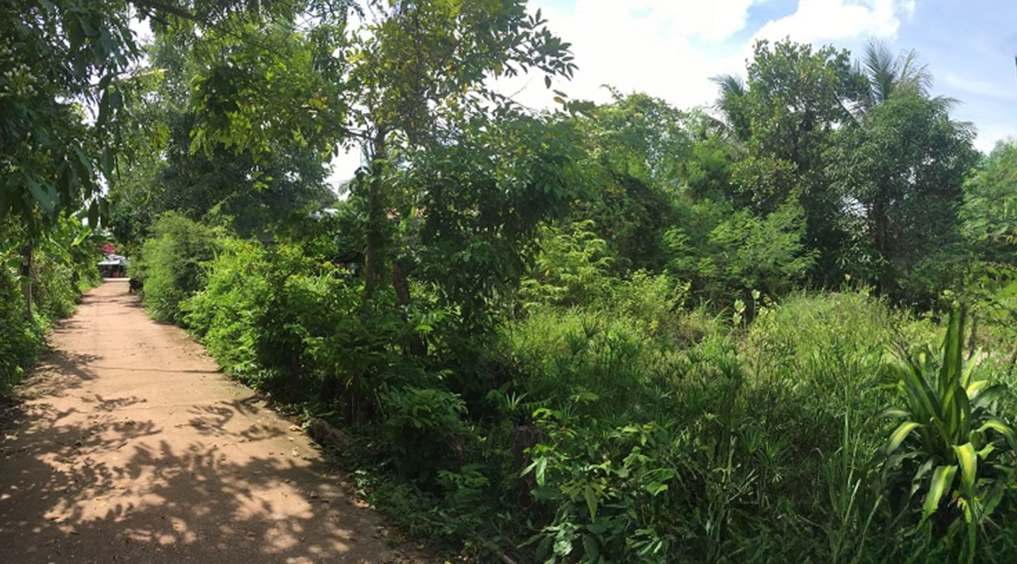 image (12).png