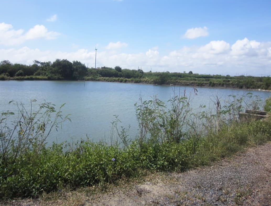 84170c61-48749-7.jpg