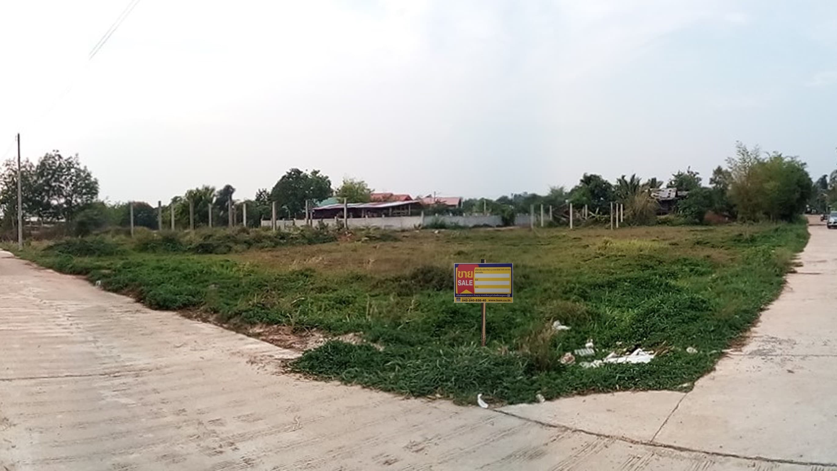 111.jpg