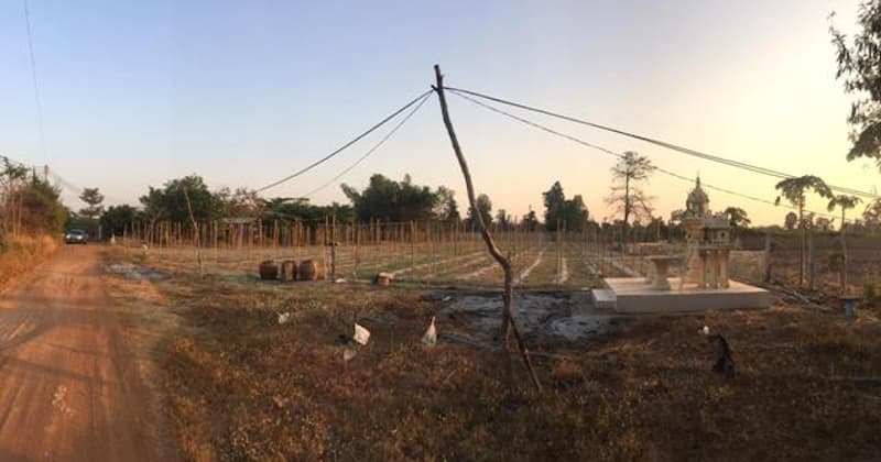full_20190204142026.jpg