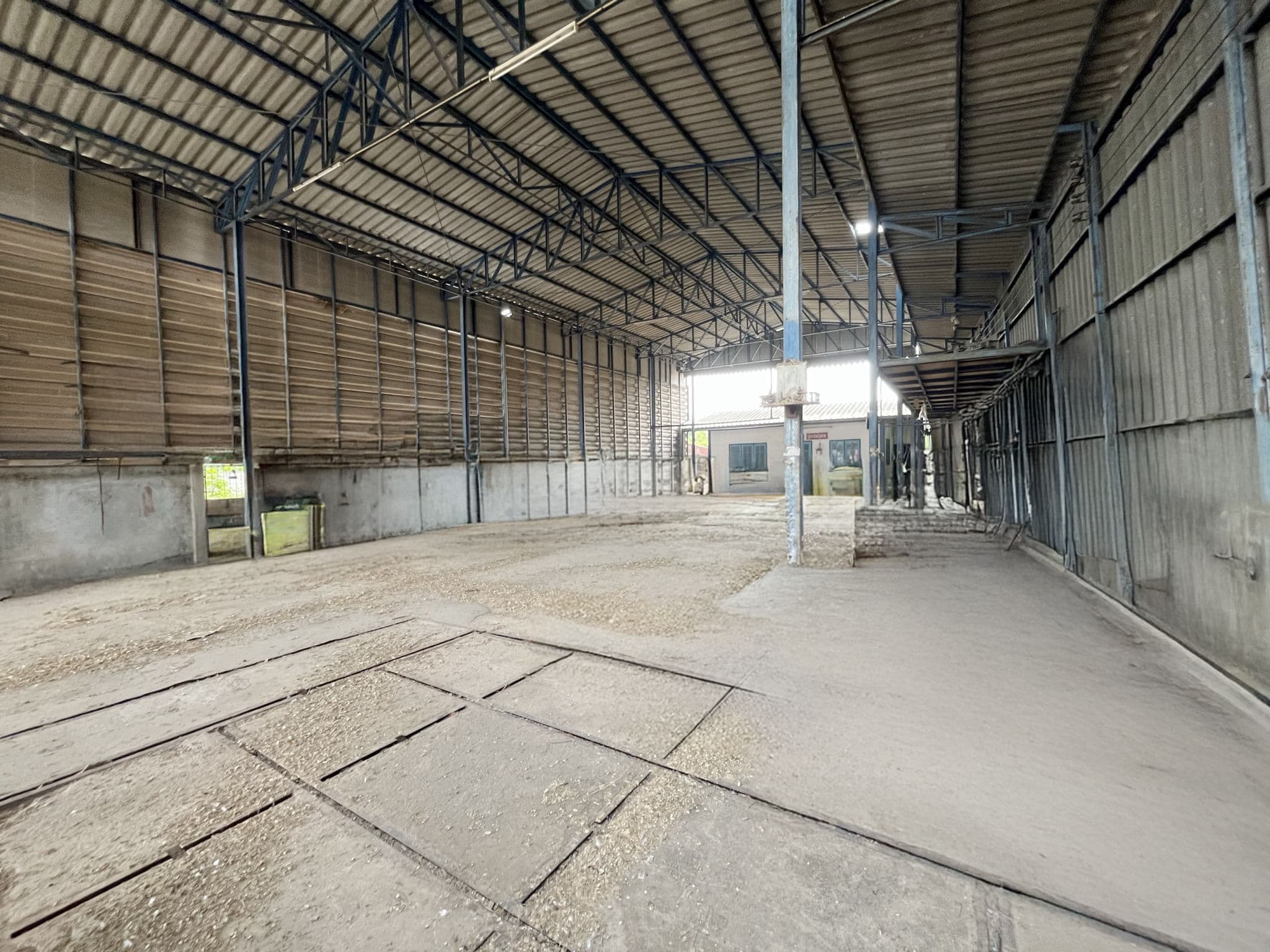 d6c038b5-142503-2.jpg