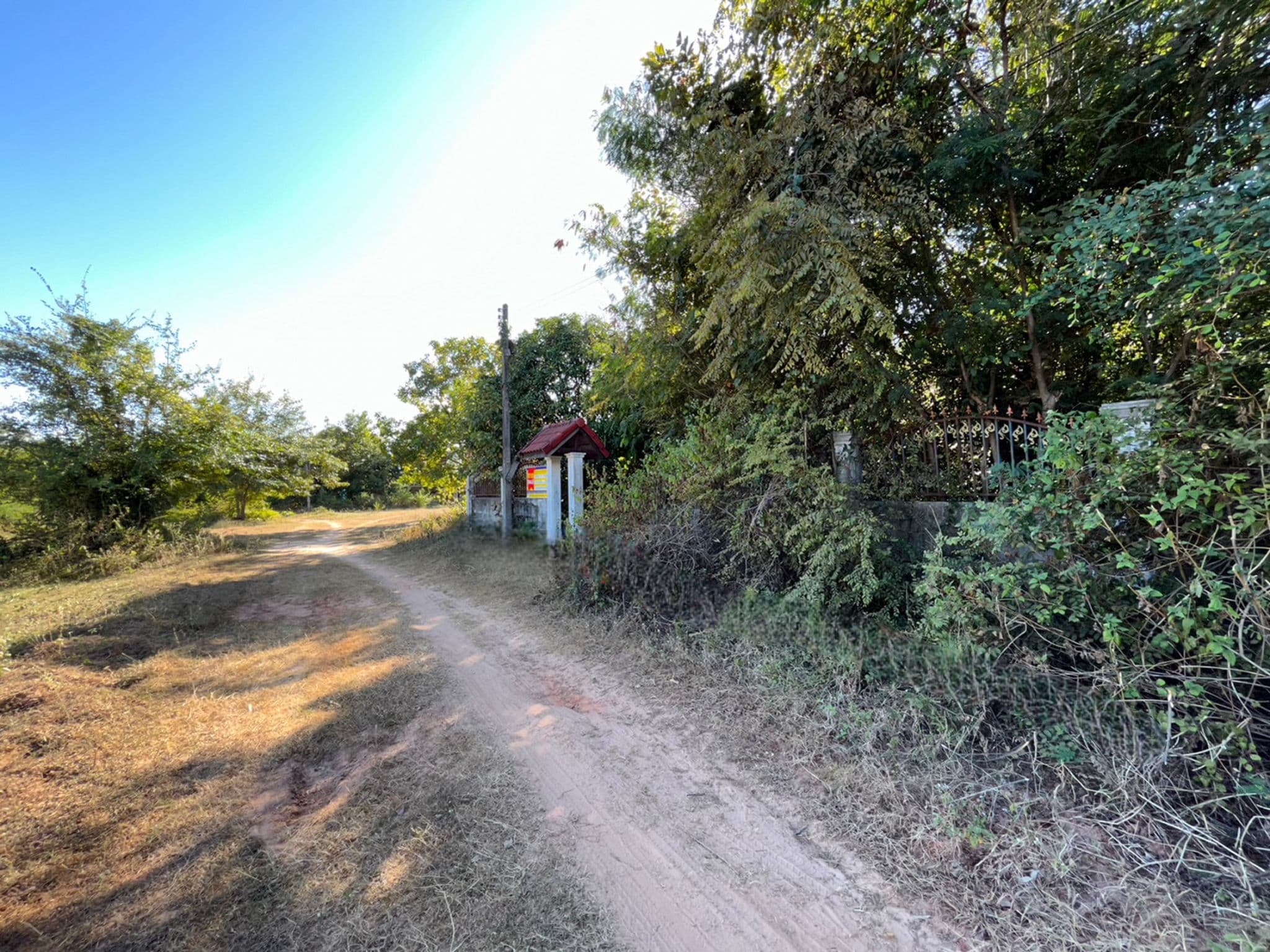 99874d7d-211623.jpg