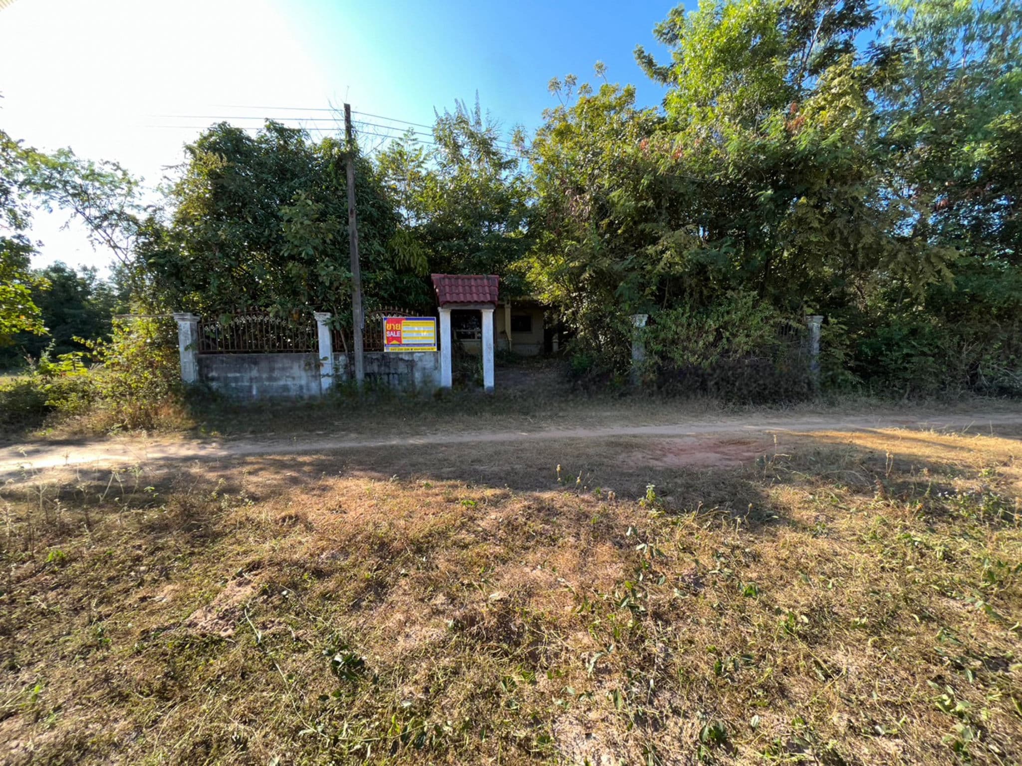 56aaf65e-21162.jpg